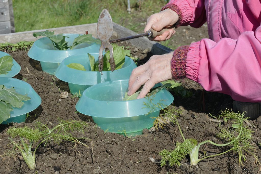 Eine ältere Person bei der Gartenarbeit an einem Hochbet.